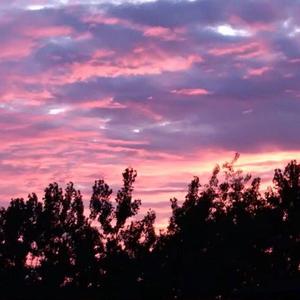 3d 无尽 护士 喷出
